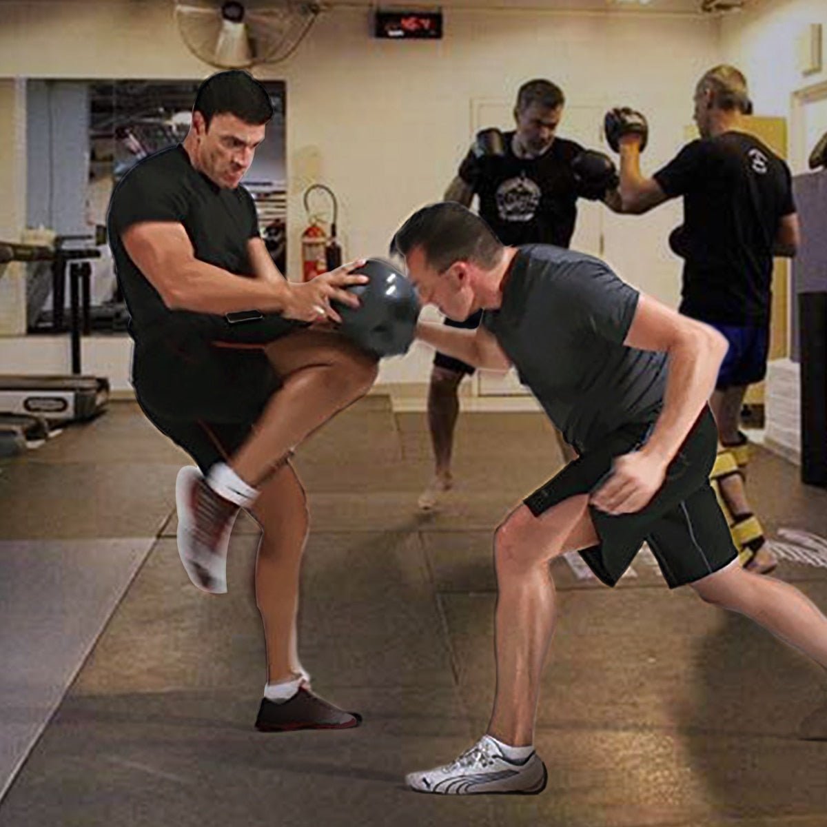 Face-shaped Boxing target